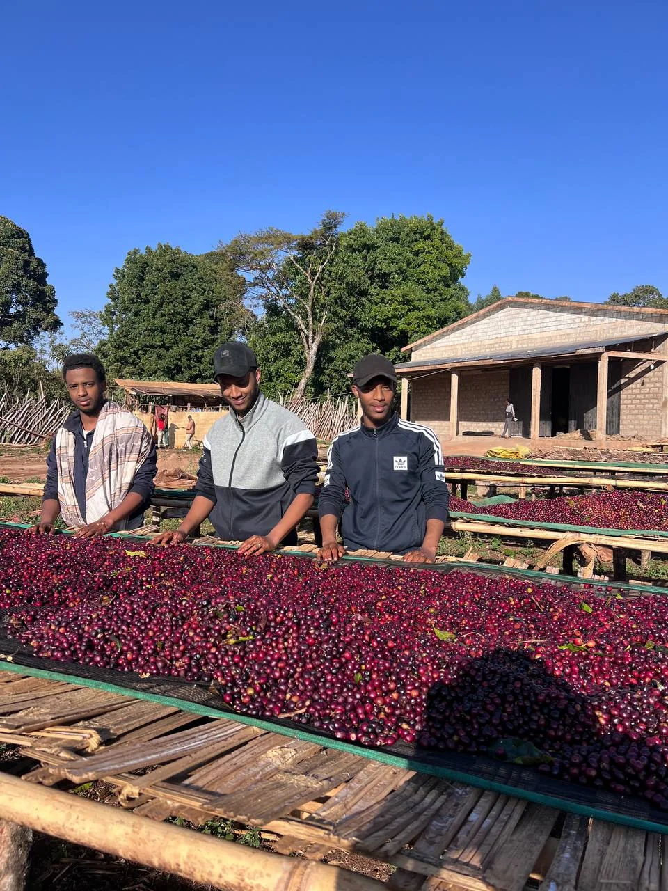 Zamzam coffee team at a coffee processing site